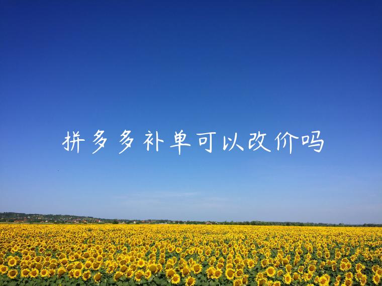 拼多多補(bǔ)單可以改價(jià)嗎